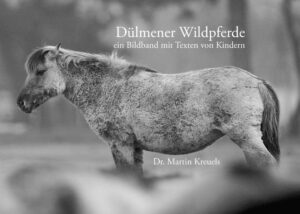 Dülmener Wildpferde Profilbild