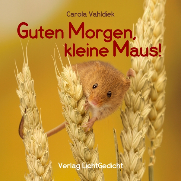 Guten Morgen, kleine Maus! (Softcover, erhältlich bis zum 31.10.2024, danach ersetzt durch Hardcoverausgabe)