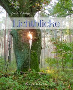 Lichtblicke Profilbild