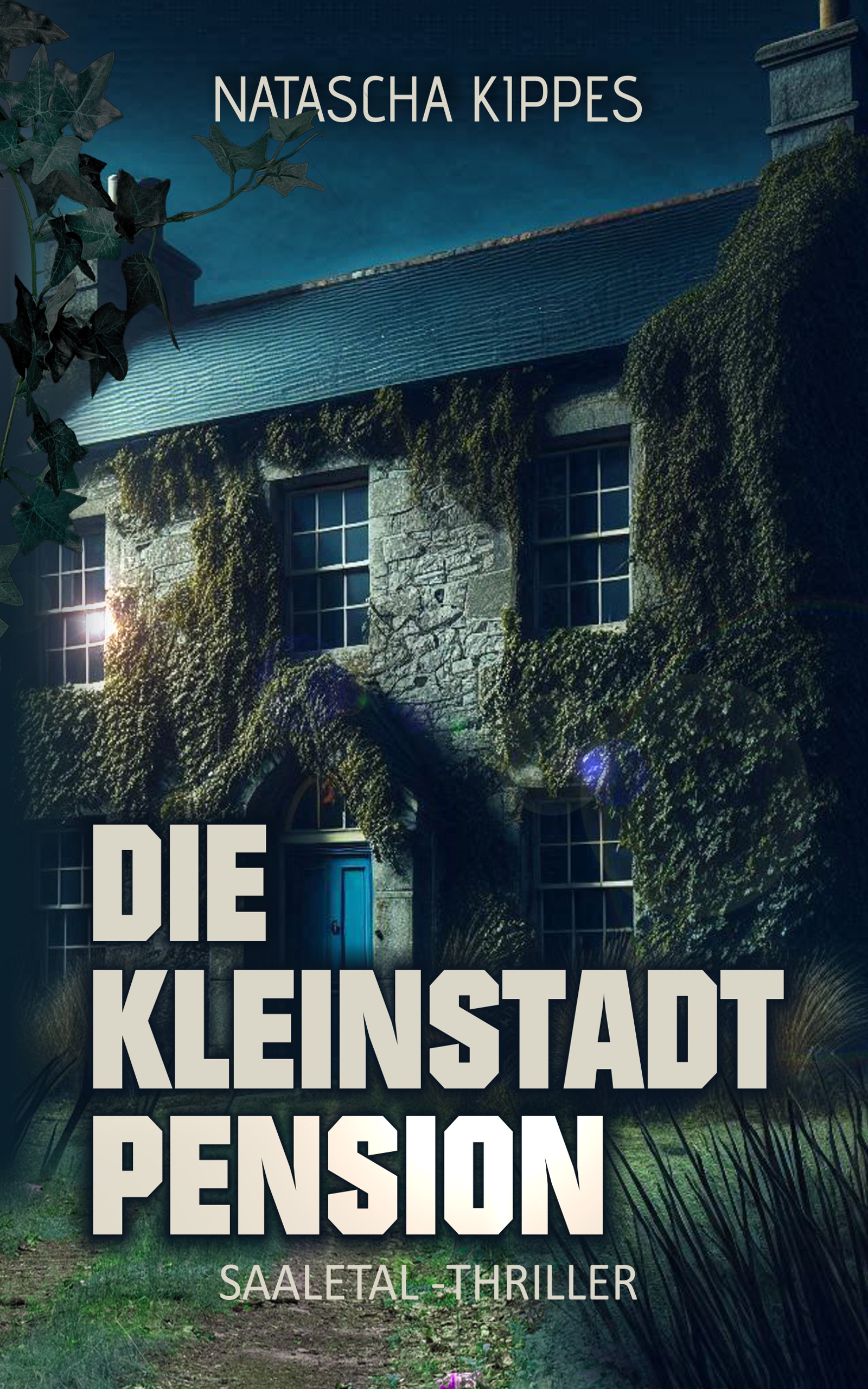 Die Kleinstadtpension