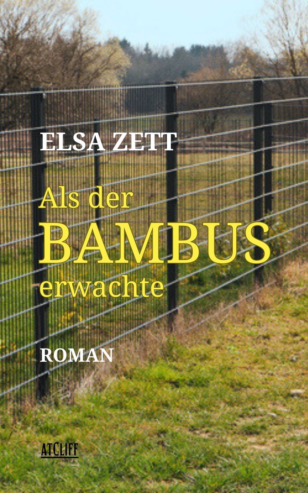 Als der Bambus erwachte