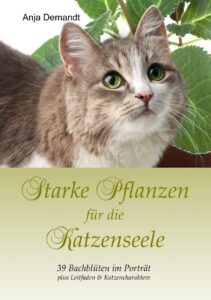 Starke Pflanzen für die Katzenseele Profilbild