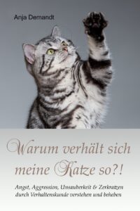 Warum verhält sich meine Katze so Profilbild