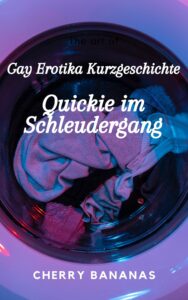 Gay Erotika Kurzgeschichte: Quickie im Schleudergang Profilbild