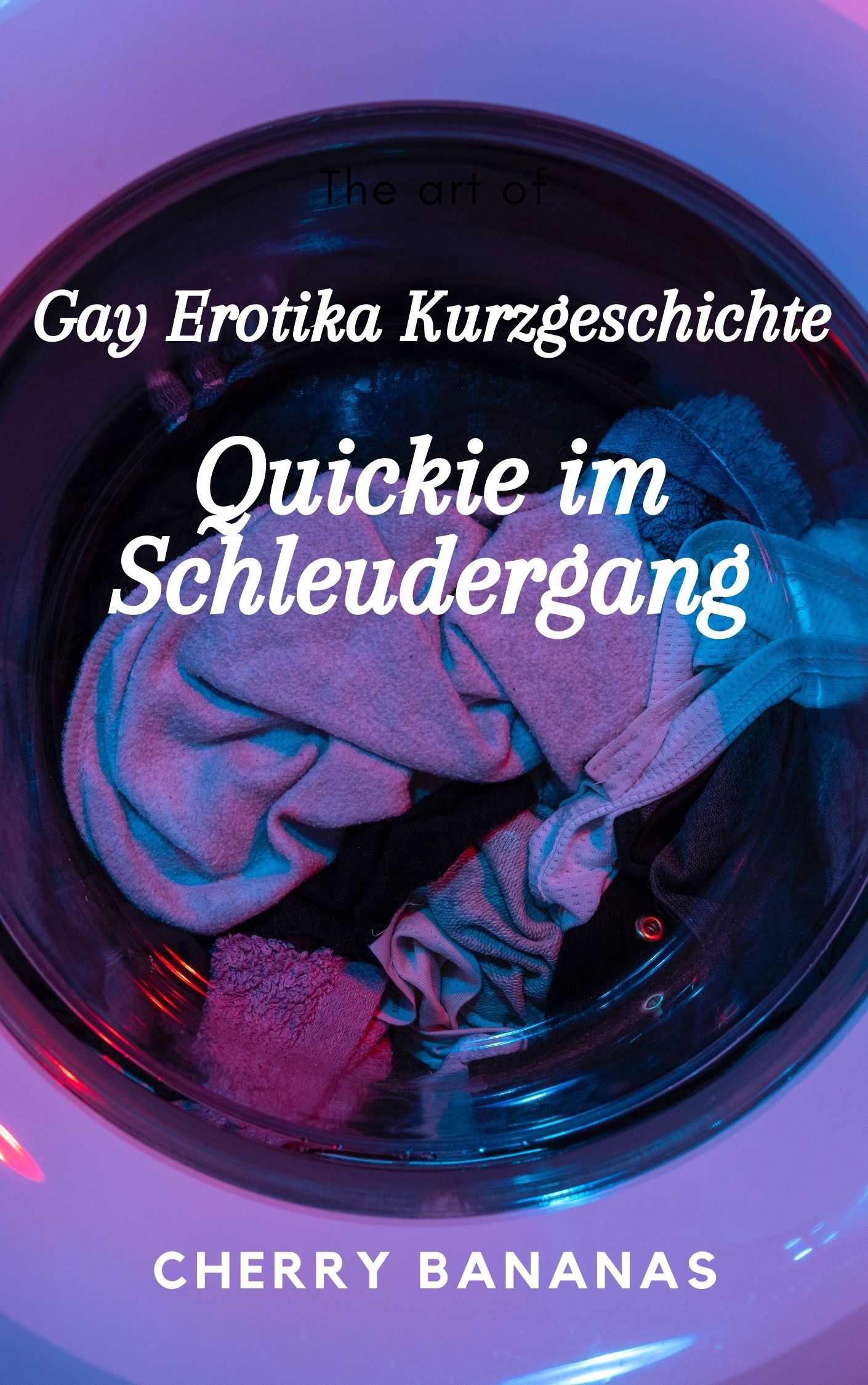 Gay Erotika Kurzgeschichte: Quickie im Schleudergang